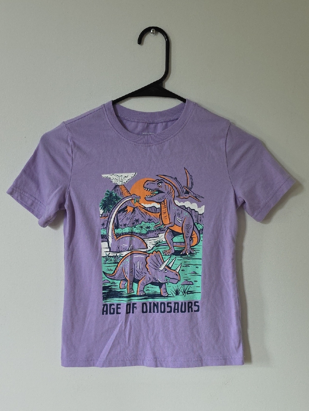 Kids Lavender "Age of Dinosaurs" Graphic Tee, Size 7